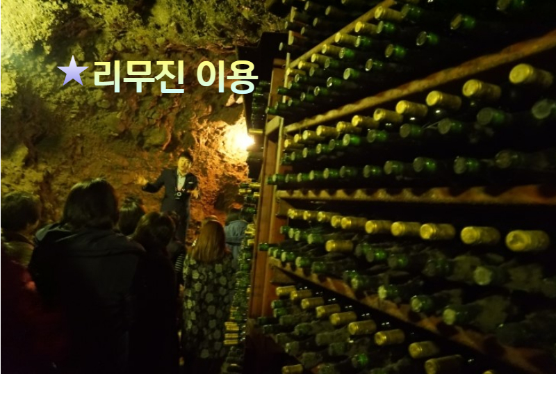 [당일-리무진] 영동 와인터널+수생식물원